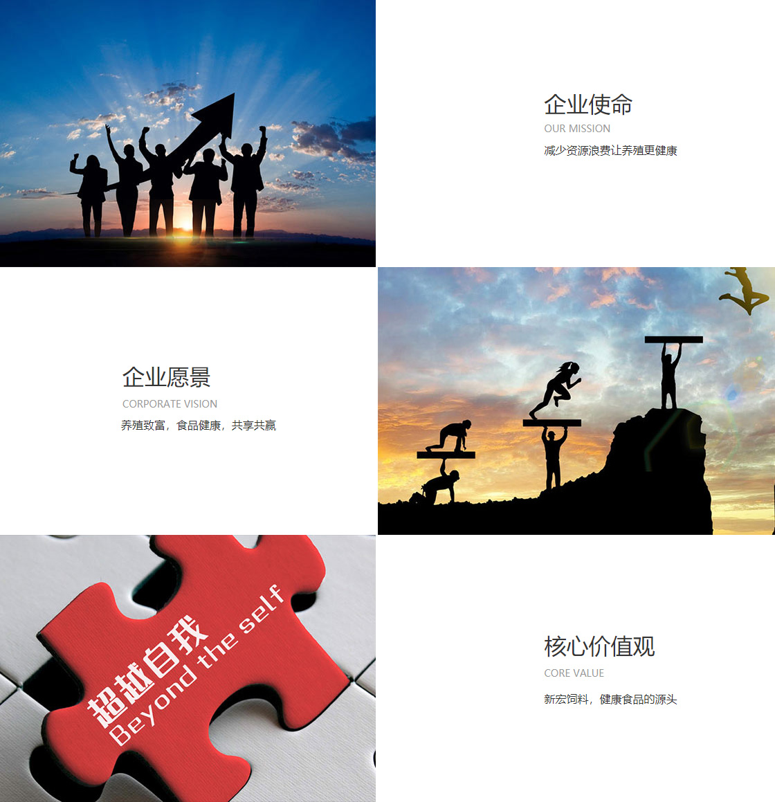 江南·官方端网站登录入口(图1)